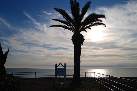 atawaPA02