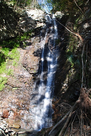 kinennotaki_kouti04