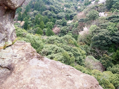 iseyamakami_ibutadera50