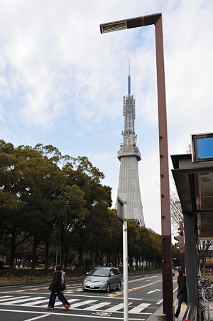 DSC_2294