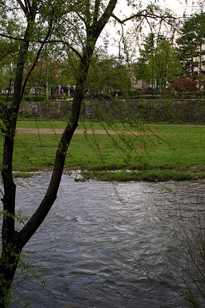 DSC06512m