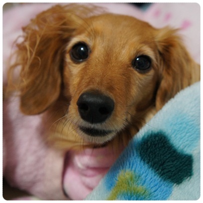 20120209 JURI