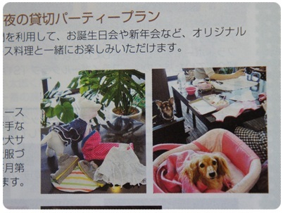 WAN☆NYAN TIMES 1月号 アップ