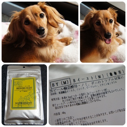 20120418 JURI & サプリ開始