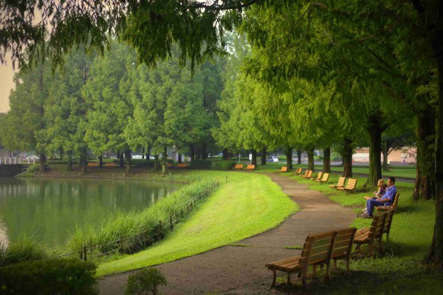 川越水上公園の池周りのベンチ