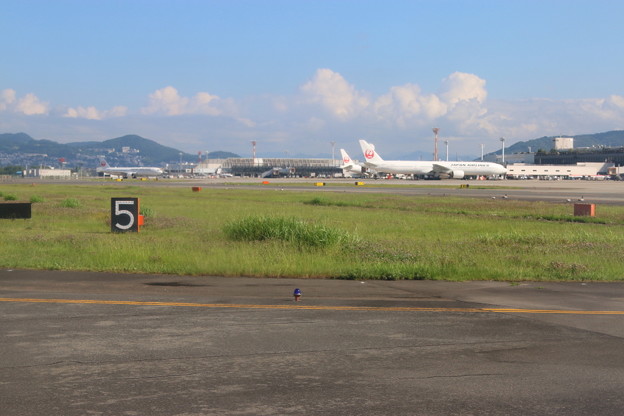 伊丹空港到着(2)