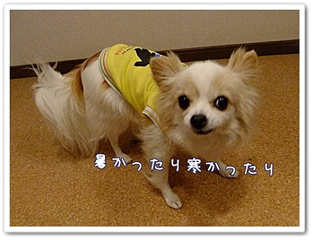 暑かったり
