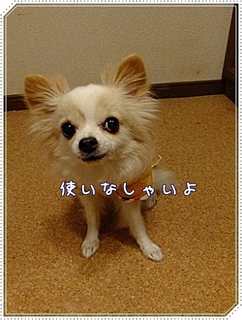 使いなさい