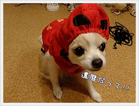 還暦!!