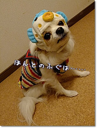 ほんとの