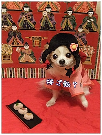 桜ご飯?