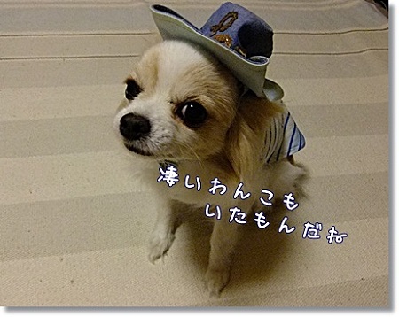 凄いね