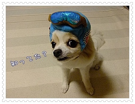 知ってた?