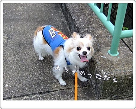 暑かったぁ