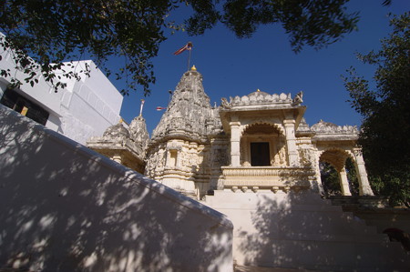 IMGP0954