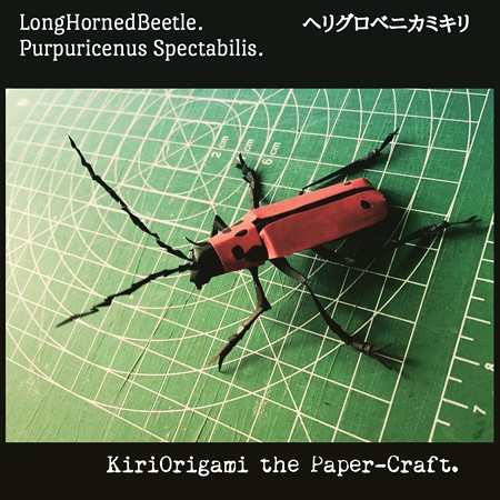 ヘリグロベニカミキリ