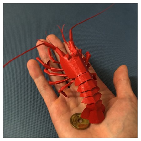 イセエビ