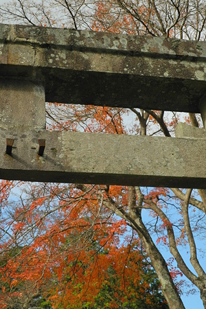 鳥見山公園・8