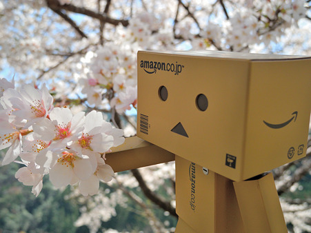 ダンボーと花見・3