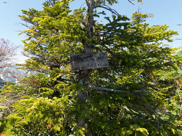 20150711_115328_Canon S120