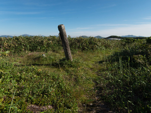 20150711_163617_Canon S120