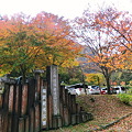 福定親水公園の紅葉