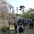 深田池公園から9時スタート