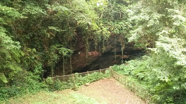 シダの洞窟のような笠山火口