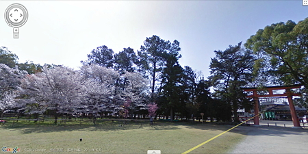 又是樱花盛开时,赶紧用GoogleEarth看看实景的日本樱花吧
