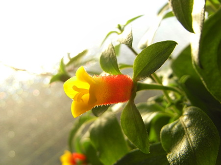 R0011134