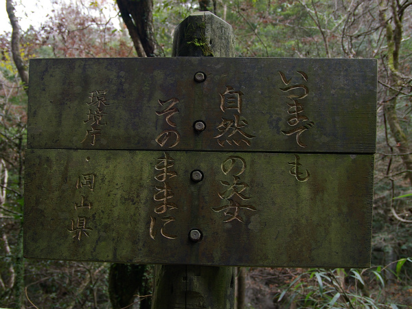 「いつまでも 自然の姿 そのままに」