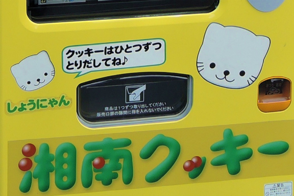 リボンを外したハローキティのようなしょうにゃん