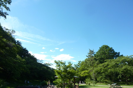 P1100010