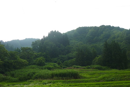 P1100165