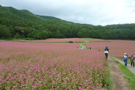 P1100666