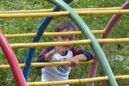 P1100806