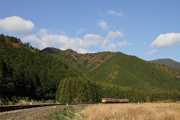 荷坂峠を目指して登り始める「波田須駅開業50周年号」
