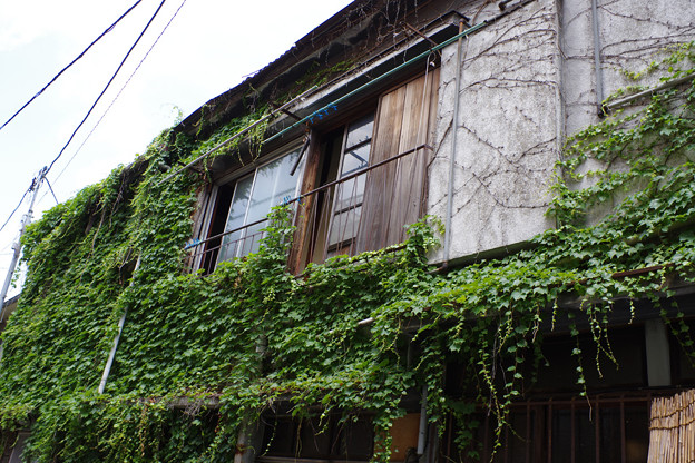 IMGP0369-S