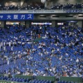 Photos: タオルで青く染まる大阪ガス応援席
