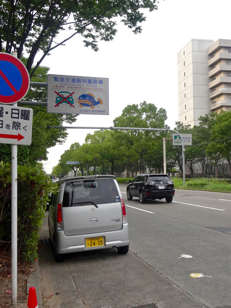 「緊急交通路対策路線」に指定されてる、名古屋城横の大津通 - 1